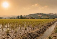 Piemonte. Emergenza siccità. Rossi (Pd): “Dove sono finiti i fondi del PNRR per ridurre le dispersioni?”